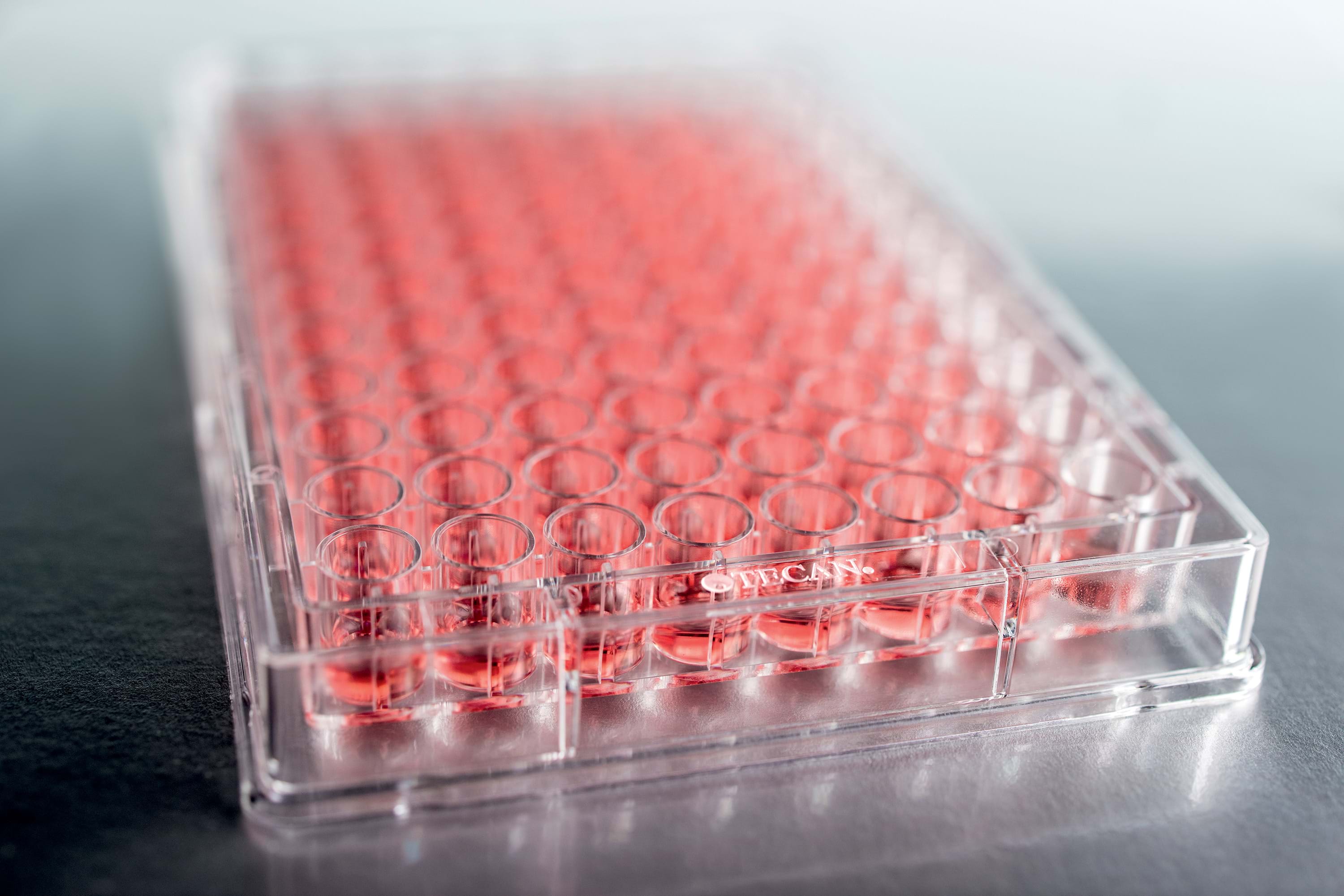 96 brønns analyseplate