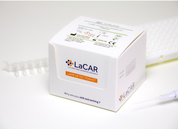 LAMP detection kit (1)