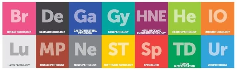 Novocastra antistoffer for 14 forskjellige patologiområder