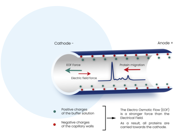Bilde uten beskrivelse