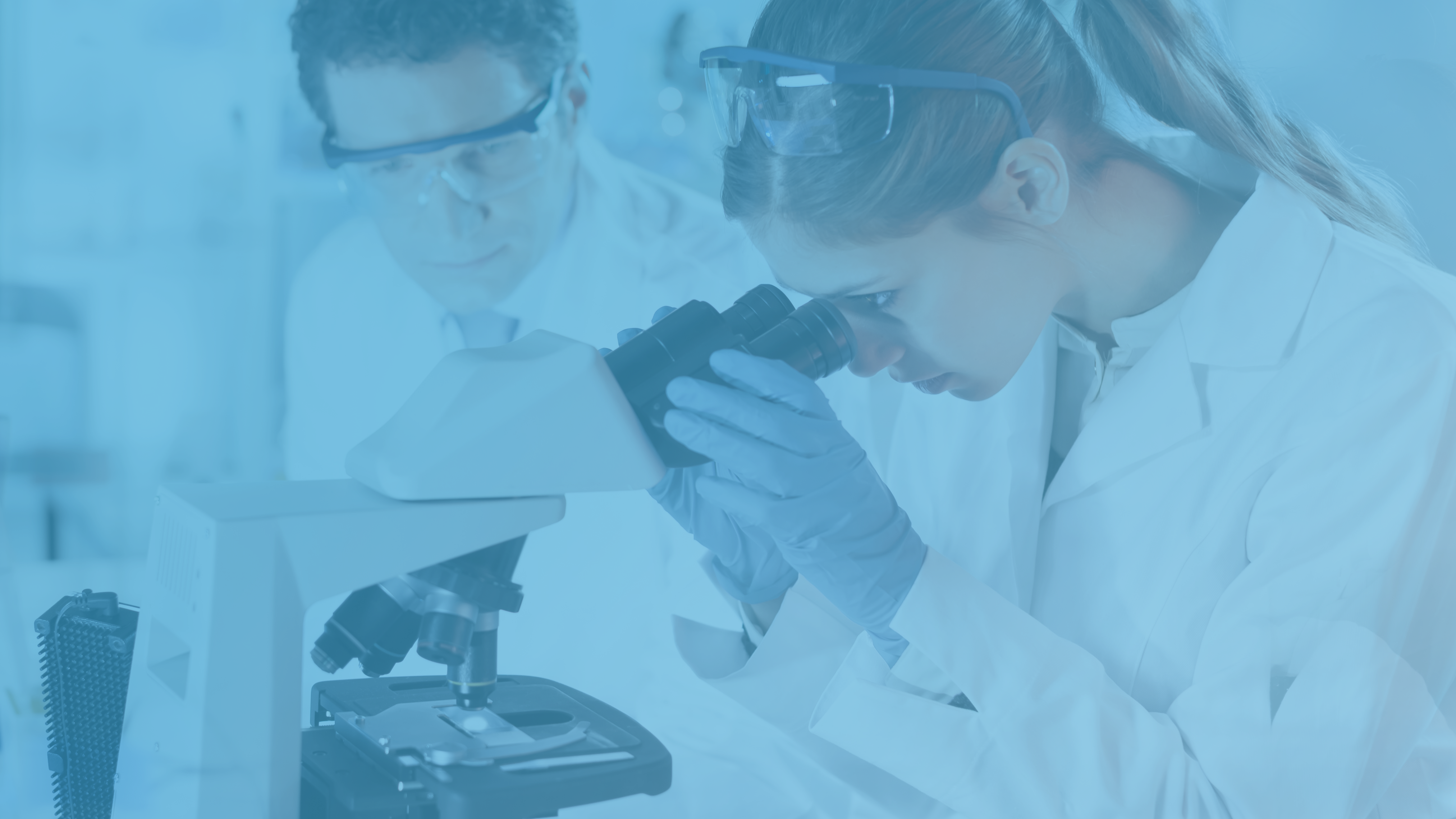 Brukermøte Sebia 2026