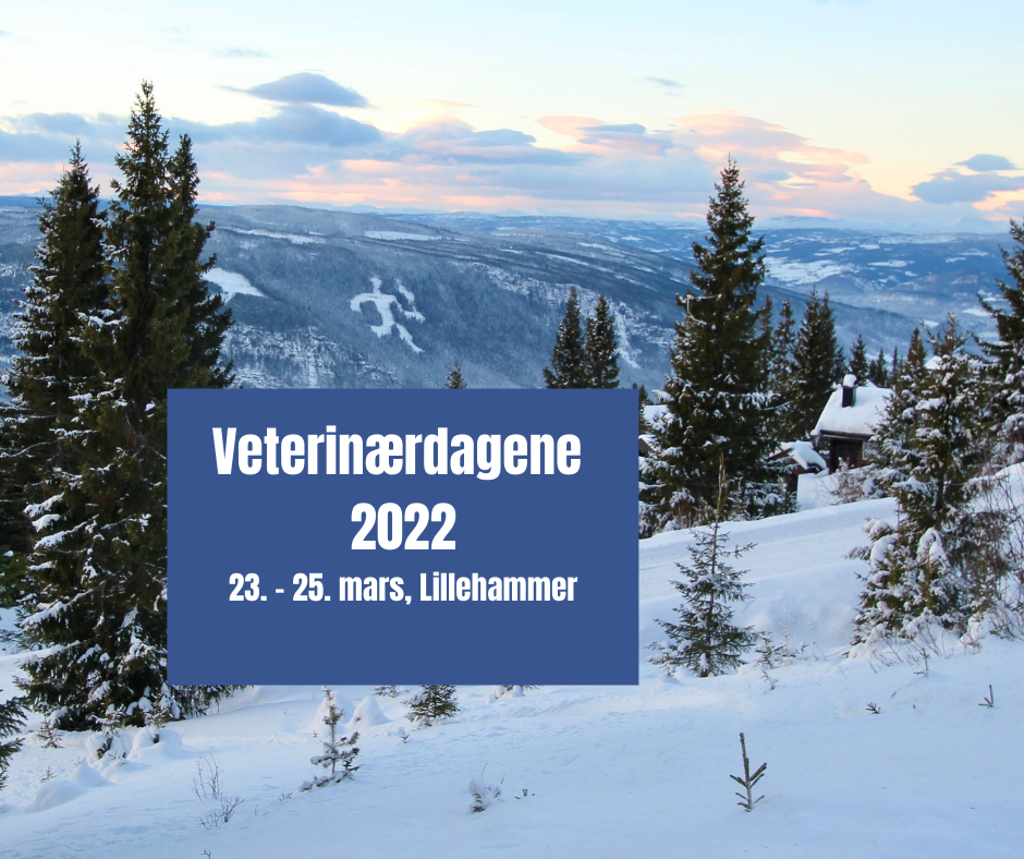 Veterinærdagene - Utstilling -  Scandic Hotel Lillehammer