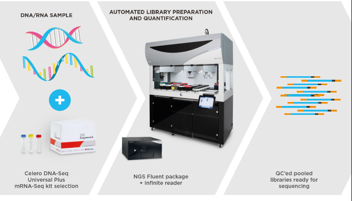 Bilde uten beskrivelse