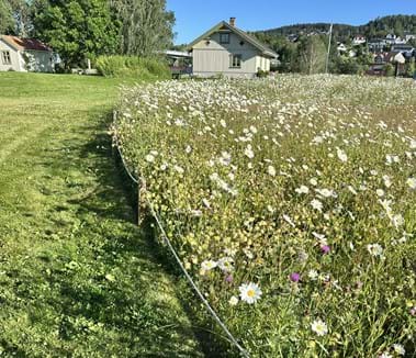Pollinatorpark