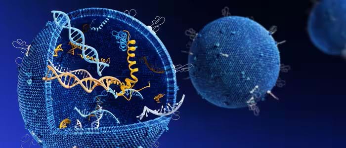 Bilde uten beskrivelse